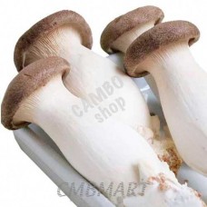 Ering (king oyster mushroom) 1 kg