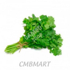 Cilantro bundle 20 gm. 