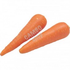 Carrot. 